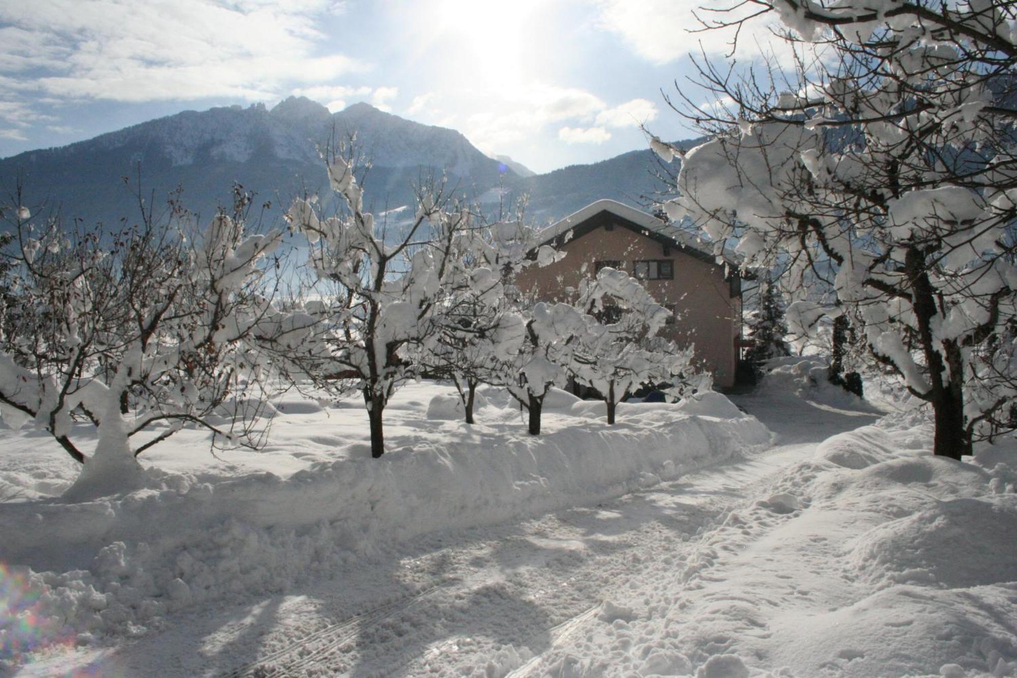 Hotel Enzianbrenner à Jenig Extérieur photo